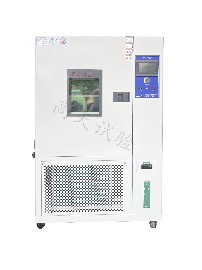 恒温恒湿试验机504L