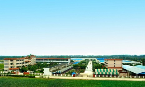 成都市新津世丰医疗器械有限公司